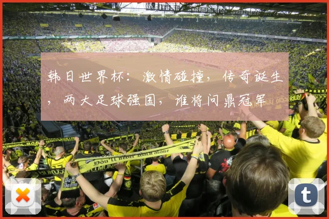 韩日世界杯：激情碰撞，传奇诞生，两大足球强国，谁将问鼎冠军